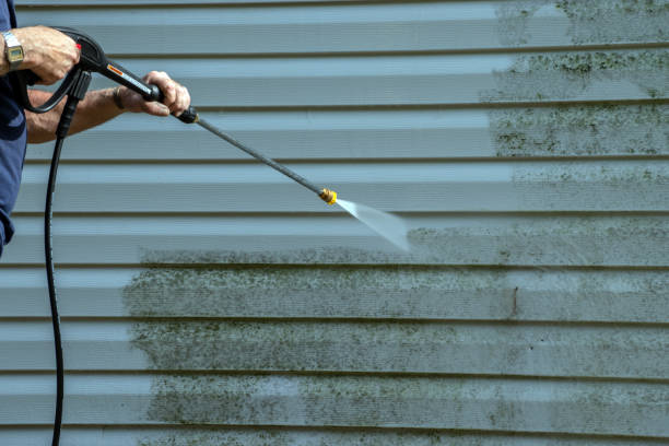Best Oil Spill Cleanup  in Mount Olive, IL